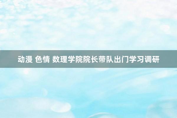 动漫 色情 数理学院院长带队出门学习调研